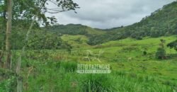 Fazenda com Natureza Exuberante 40 Alq Toda no Pasto | Rio Preto/MG Fazenda com Natureza Exuberante 40 Alq Toda no Pasto | Rio Preto/MG