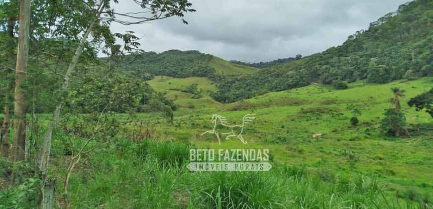 Fazenda com Natureza Exuberante 40 Alq Toda no Pasto | Rio Preto/MG Fazenda com Natureza Exuberante 40 Alq Toda no Pasto | Rio Preto/MG