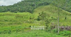 Fazenda com Natureza Exuberante 40 Alq Toda no Pasto | Rio Preto/MG Fazenda com Natureza Exuberante 40 Alq Toda no Pasto | Rio Preto/MG