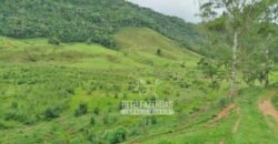 Fazenda com Natureza Exuberante 40 Alq Toda no Pasto | Rio Preto/MG Fazenda com Natureza Exuberante 40 Alq Toda no Pasto | Rio Preto/MG