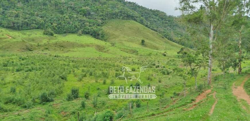 Fazenda com Natureza Exuberante 40 Alq Toda no Pasto | Rio Preto/MG Fazenda com Natureza Exuberante 40 Alq Toda no Pasto | Rio Preto/MG