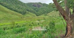 Fazenda com Natureza Exuberante 40 Alq Toda no Pasto | Rio Preto/MG Fazenda com Natureza Exuberante 40 Alq Toda no Pasto | Rio Preto/MG