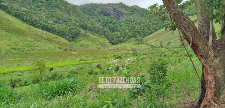 Fazenda com Natureza Exuberante 40 Alq Toda no Pasto | Rio Preto/MG Fazenda com Natureza Exuberante 40 Alq Toda no Pasto | Rio Preto/MG