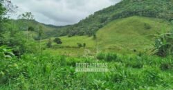 Fazenda com Natureza Exuberante 40 Alq Toda no Pasto | Rio Preto/MG Fazenda com Natureza Exuberante 40 Alq Toda no Pasto | Rio Preto/MG