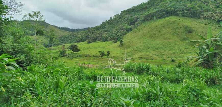 Fazenda com Natureza Exuberante 40 Alq Toda no Pasto | Rio Preto/MG Fazenda com Natureza Exuberante 40 Alq Toda no Pasto | Rio Preto/MG