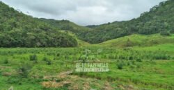 Fazenda com Natureza Exuberante 40 Alq Toda no Pasto | Rio Preto/MG Fazenda com Natureza Exuberante 40 Alq Toda no Pasto | Rio Preto/MG