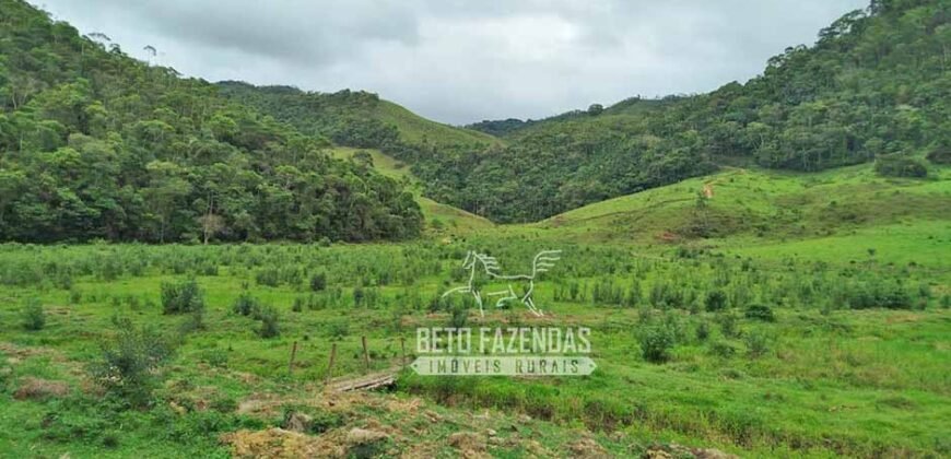 Fazenda com Natureza Exuberante 40 Alq Toda no Pasto | Rio Preto/MG Fazenda com Natureza Exuberante 40 Alq Toda no Pasto | Rio Preto/MG