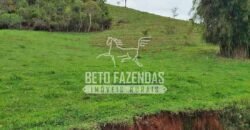 Fazenda com Natureza Exuberante 40 Alq Toda no Pasto | Rio Preto/MG Fazenda com Natureza Exuberante 40 Alq Toda no Pasto | Rio Preto/MG