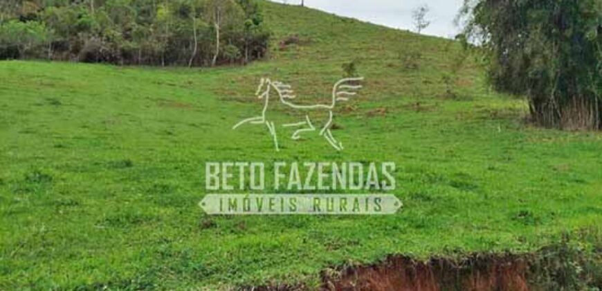 Fazenda com Natureza Exuberante 40 Alq Toda no Pasto | Rio Preto/MG Fazenda com Natureza Exuberante 40 Alq Toda no Pasto | Rio Preto/MG