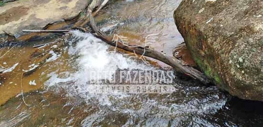 Fazenda com Natureza Exuberante 40 Alq Toda no Pasto | Rio Preto/MG Fazenda com Natureza Exuberante 40 Alq Toda no Pasto | Rio Preto/MG