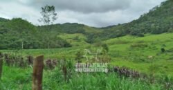 Fazenda com Natureza Exuberante 40 Alq Toda no Pasto | Rio Preto/MG Fazenda com Natureza Exuberante 40 Alq Toda no Pasto | Rio Preto/MG