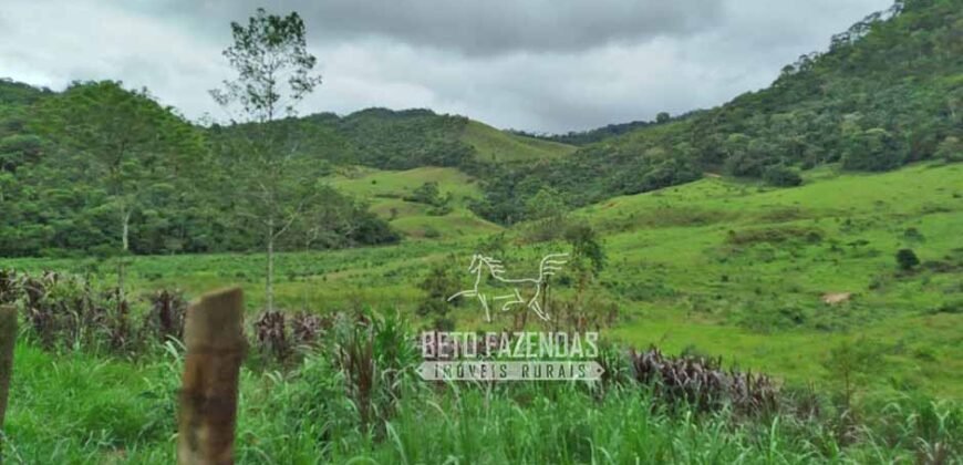 Fazenda com Natureza Exuberante 40 Alq Toda no Pasto | Rio Preto/MG Fazenda com Natureza Exuberante 40 Alq Toda no Pasto | Rio Preto/MG