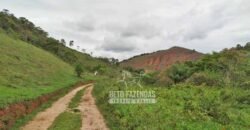 Fazenda com Natureza Exuberante 40 Alq Toda no Pasto | Rio Preto/MG Fazenda com Natureza Exuberante 40 Alq Toda no Pasto | Rio Preto/MG