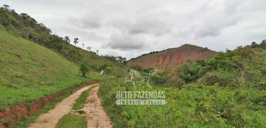 Fazenda com Natureza Exuberante 40 Alq Toda no Pasto | Rio Preto/MG Fazenda com Natureza Exuberante 40 Alq Toda no Pasto | Rio Preto/MG