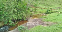 Fazenda com Natureza Exuberante 40 Alq Toda no Pasto | Rio Preto/MG Fazenda com Natureza Exuberante 40 Alq Toda no Pasto | Rio Preto/MG