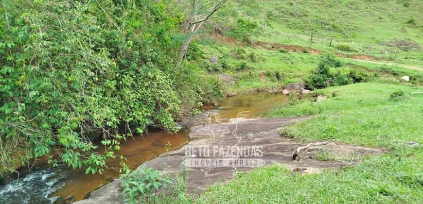Fazenda com Natureza Exuberante 40 Alq Toda no Pasto | Rio Preto/MG Fazenda com Natureza Exuberante 40 Alq Toda no Pasto | Rio Preto/MG