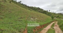 Fazenda com Natureza Exuberante 40 Alq Toda no Pasto | Rio Preto/MG Fazenda com Natureza Exuberante 40 Alq Toda no Pasto | Rio Preto/MG