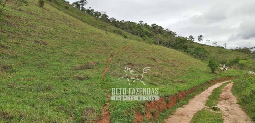 Fazenda com Natureza Exuberante 40 Alq Toda no Pasto | Rio Preto/MG Fazenda com Natureza Exuberante 40 Alq Toda no Pasto | Rio Preto/MG