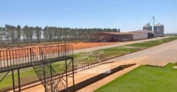 Fazenda de Grande Porte 8.000 hectares Infraestrutura Completa | Paracatu/MG