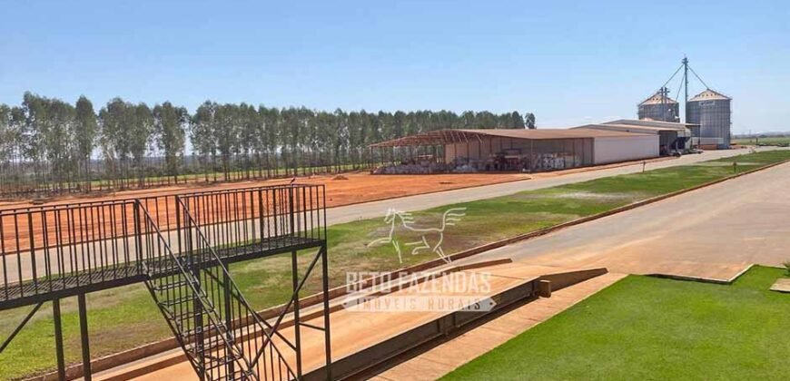 Fazenda de Grande Porte 8.000 hectares Infraestrutura Completa | Paracatu/MG