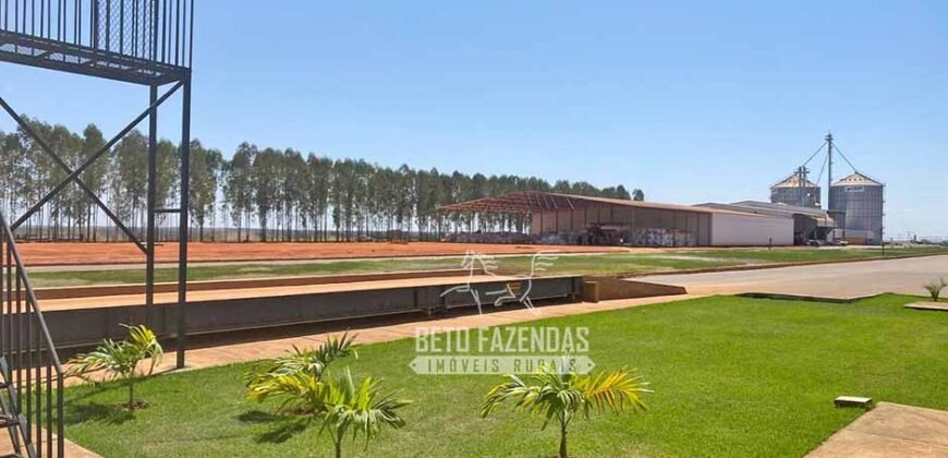 Fazenda de Grande Porte 8.000 hectares Infraestrutura Completa | Paracatu/MG