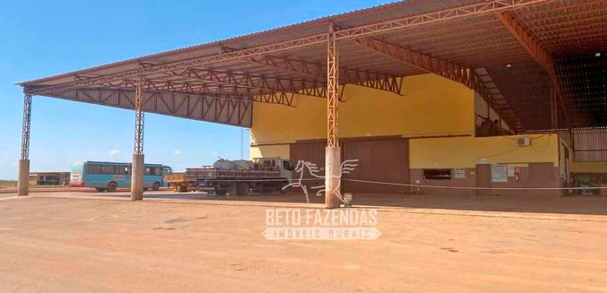 Fazenda de Grande Porte 8.000 hectares Infraestrutura Completa | Paracatu/MG