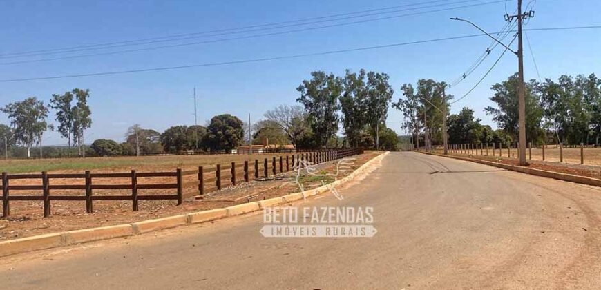 Fazenda de Grande Porte 8.000 hectares Infraestrutura Completa | Paracatu/MG