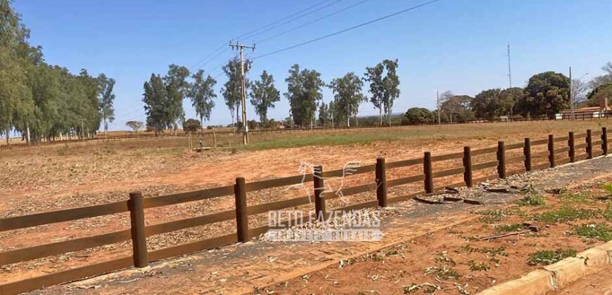 Fazenda de Grande Porte 8.000 hectares Infraestrutura Completa | Paracatu/MG