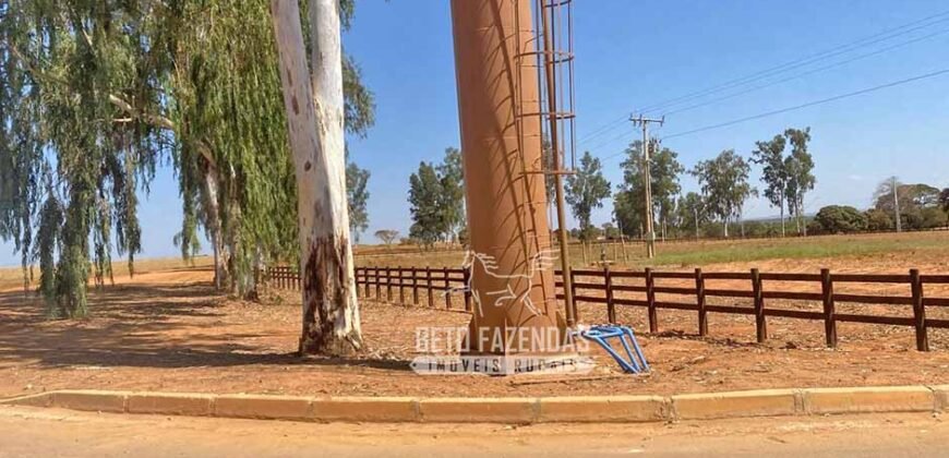 Fazenda de Grande Porte 8.000 hectares Infraestrutura Completa | Paracatu/MG