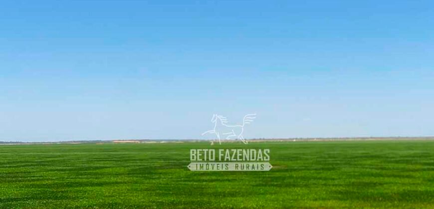 Fazenda de Grande Porte 8.000 hectares Infraestrutura Completa | Paracatu/MG