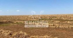 Fazenda de Grande Porte 8.000 hectares Infraestrutura Completa | Paracatu/MG