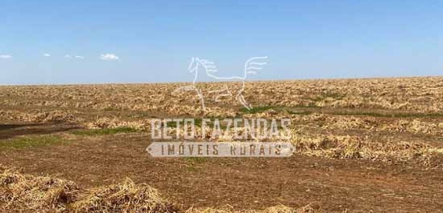 Fazenda de Grande Porte 8.000 hectares Infraestrutura Completa | Paracatu/MG