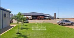 Fazenda de Grande Porte 8.000 hectares Infraestrutura Completa | Paracatu/MG