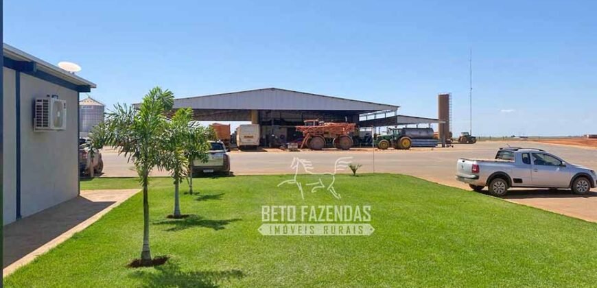 Fazenda de Grande Porte 8.000 hectares Infraestrutura Completa | Paracatu/MG