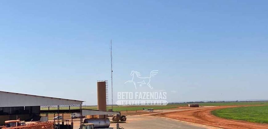 Fazenda de Grande Porte 8.000 hectares Infraestrutura Completa | Paracatu/MG