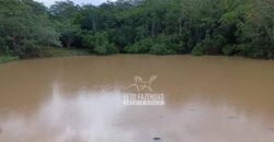 Fazenda Dupla Aptidão 396 hectares Pecuária e Agricultura | Água Fria/GO Fazenda Dupla Aptidão 396 hectares Pecuária e Agricultura | Água Fria/GO