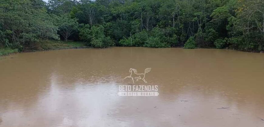 Fazenda Dupla Aptidão 396 hectares Pecuária e Agricultura | Água Fria/GO Fazenda Dupla Aptidão 396 hectares Pecuária e Agricultura | Água Fria/GO