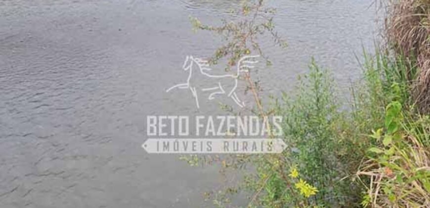 Fazenda de Soja à Venda 335 alqueires Solo de Alta Qualidade | Dourados/ MS