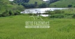 Fazenda à Venda 117,7 Hectares Paraíso Ecológico Potencial Turístico | Paracambi/RJ Fazenda à Venda 117,7 Hectares Paraíso Ecológico Potencial Turístico | Paracambi/RJ