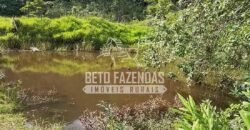 Fazenda à Venda 117,7 Hectares Paraíso Ecológico Potencial Turístico | Paracambi/RJ Fazenda à Venda 117,7 Hectares Paraíso Ecológico Potencial Turístico | Paracambi/RJ