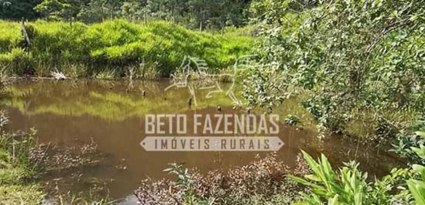 Fazenda à Venda 117,7 Hectares Paraíso Ecológico Potencial Turístico | Paracambi/RJ Fazenda à Venda 117,7 Hectares Paraíso Ecológico Potencial Turístico | Paracambi/RJ