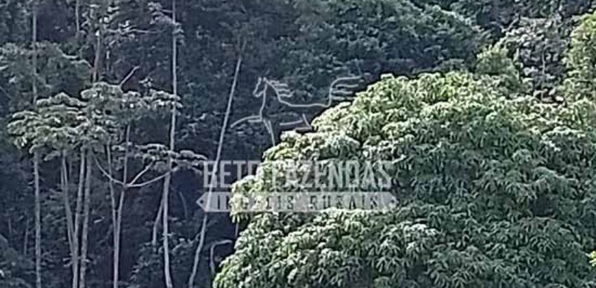 Fazenda à Venda 117,7 Hectares Paraíso Ecológico Potencial Turístico | Paracambi/RJ Fazenda à Venda 117,7 Hectares Paraíso Ecológico Potencial Turístico | Paracambi/RJ