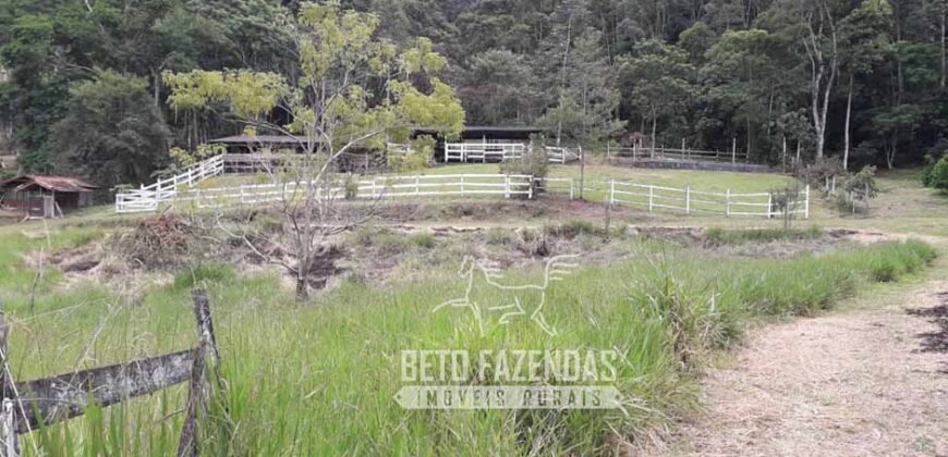 Fazenda à Venda 117,7 Hectares Paraíso Ecológico Potencial Turístico | Paracambi/RJ Fazenda à Venda 117,7 Hectares Paraíso Ecológico Potencial Turístico | Paracambi/RJ