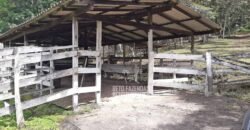 Fazenda à Venda 117,7 Hectares Paraíso Ecológico Potencial Turístico | Paracambi/RJ Fazenda à Venda 117,7 Hectares Paraíso Ecológico Potencial Turístico | Paracambi/RJ