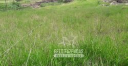 Fazenda à Venda 117,7 Hectares Paraíso Ecológico Potencial Turístico | Paracambi/RJ Fazenda à Venda 117,7 Hectares Paraíso Ecológico Potencial Turístico | Paracambi/RJ