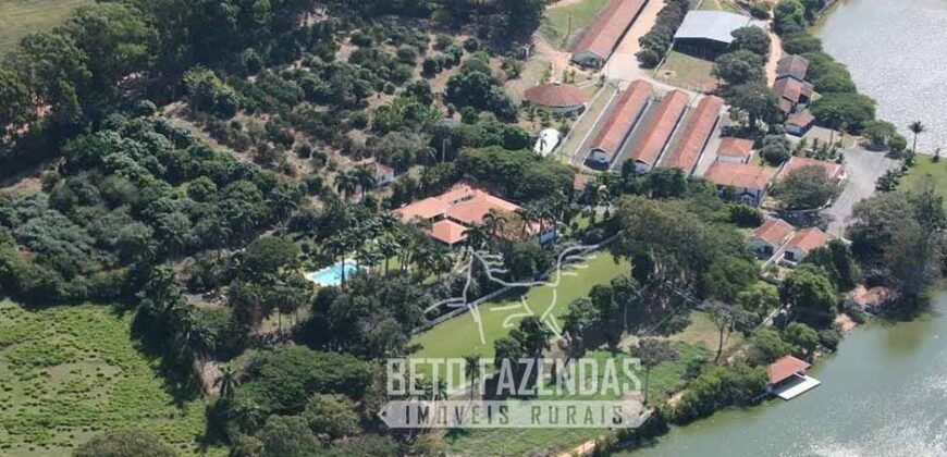 Fazenda à Venda 1.149 Hectares Pecuária Estrutura Completa | Vargem Grande do Sul/ SP