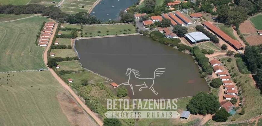 Fazenda à Venda 1.149 Hectares Pecuária Estrutura Completa | Vargem Grande do Sul/ SP
