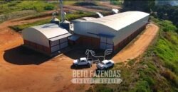 Fazenda à Venda 1.149 Hectares Pecuária Estrutura Completa | Vargem Grande do Sul/ SP