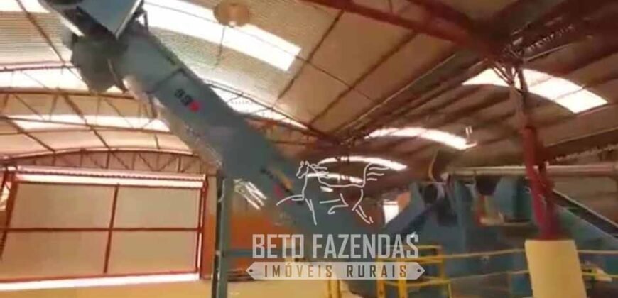 Fazenda à Venda 1.149 Hectares Pecuária Estrutura Completa | Vargem Grande do Sul/ SP