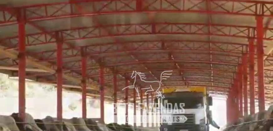 Fazenda à Venda 1.149 Hectares Pecuária Estrutura Completa | Vargem Grande do Sul/ SP